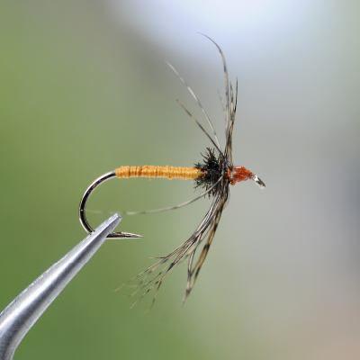 Wet Fly Patterns - Outback Anglers